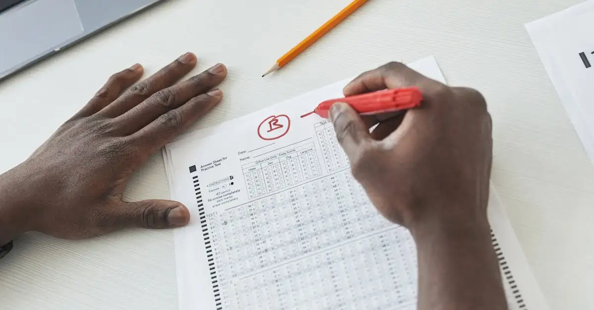 Professionelles Lektorat für Ihre Bachelorarbeit
